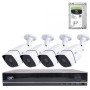 Pachet Kit supraveghere video AHD PNI House PTZ1300 Full HD - NVR si 4 camere exterior 2MP full HD 1080P cu HDD 1Tb inclus, Intr